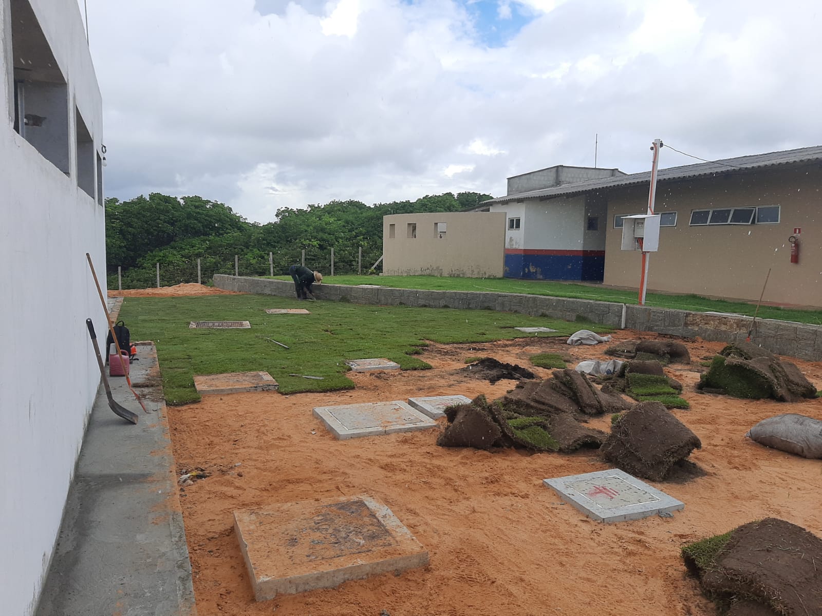 Jardim tropical
